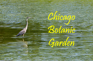 Chicago Botanic Garden 2008 Photo Slide Show