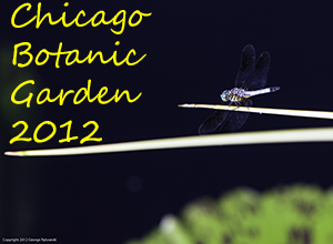 Chicago Botanic Garden 2012 Photo Slide Show