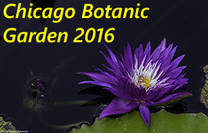 Chicago Botanic Garden 2016 Photo Slide Show