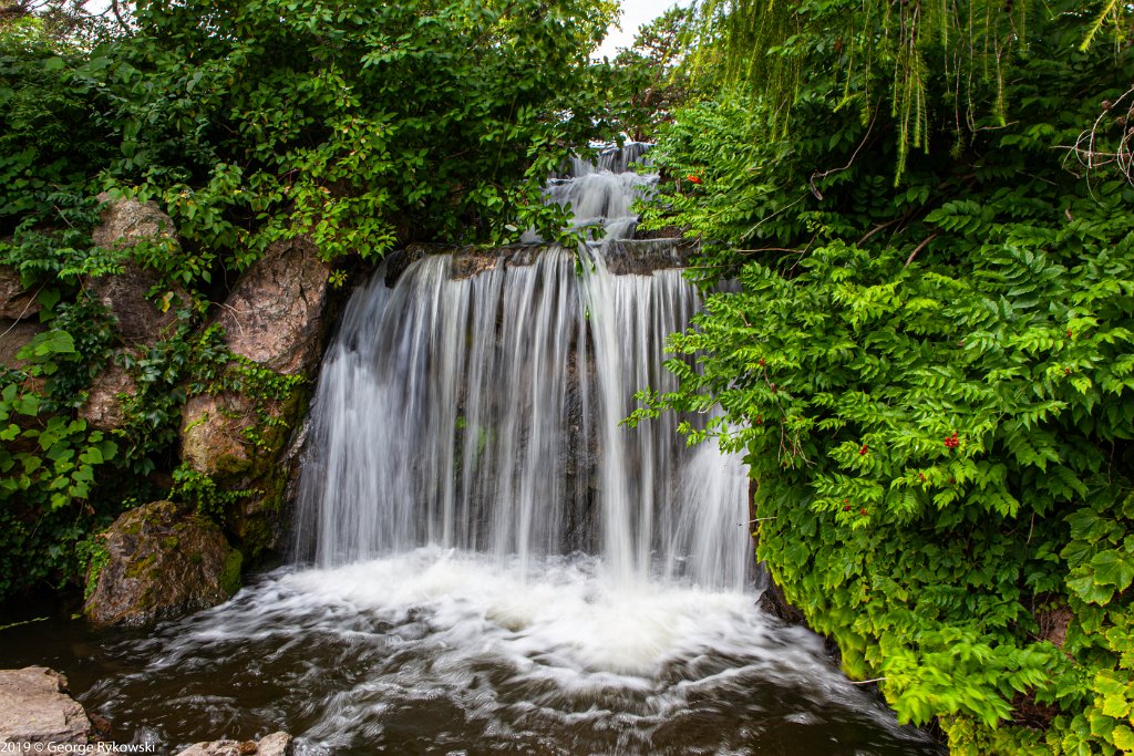 ChicagoBotanicGarden2019-2815