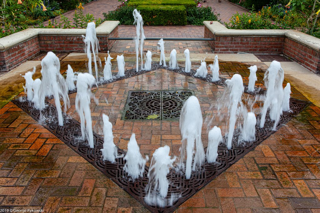 ChicagoBotanicGarden2019-2852
