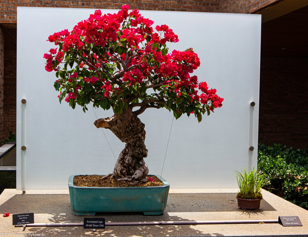 ChicagoBotanicGarden2019-2855
