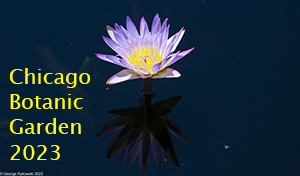 Chicago Botanic Garden 2023 Photo Slide Show