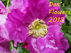 Dan Flowers 2013 Photo Slide Show