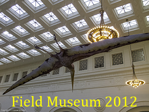 Field Museum 2012 Photo Slide Show