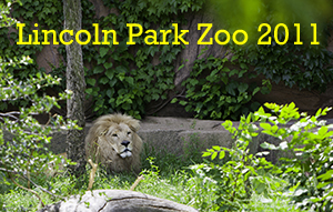 Lincoln Park Zoo 2011 Photo Slide Show
