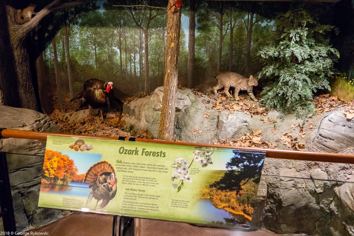 Missouri2018-0142