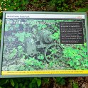 Missouri2018-0284.jpg