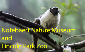 Notebaert Nature Museum and Lincoln Park Zoo 2014 Photo Slide Show