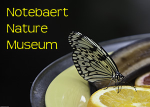 Notebaert Nature Museum Photo Slide Show