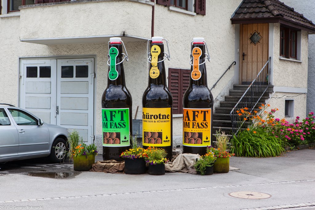 SwissVacation2017-1438