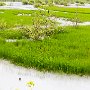 SwissVacation2017-1679.jpg