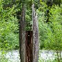 SwissVacation2017-1686.jpg