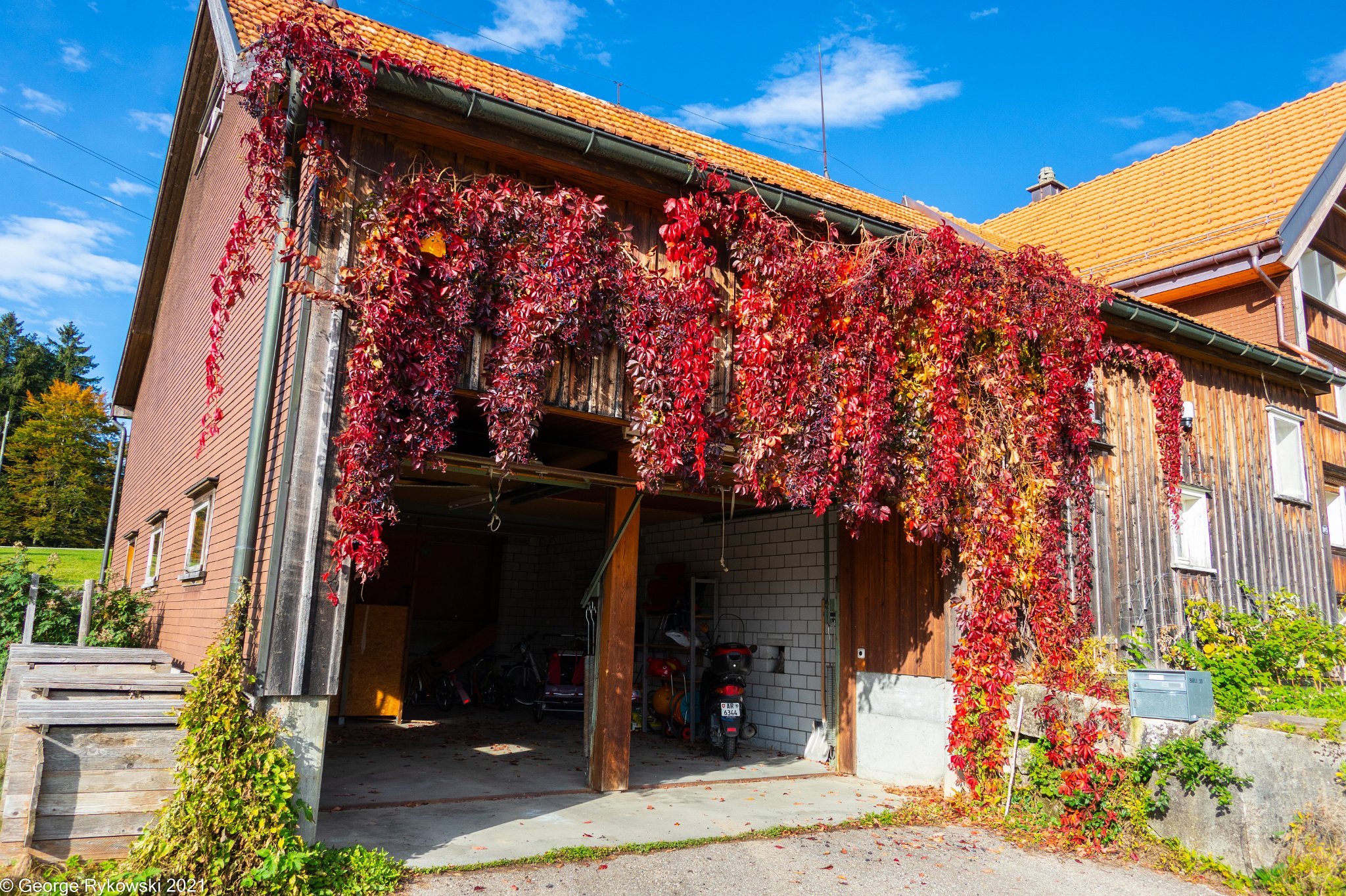 SwissVacation2019-2-1092.jpg