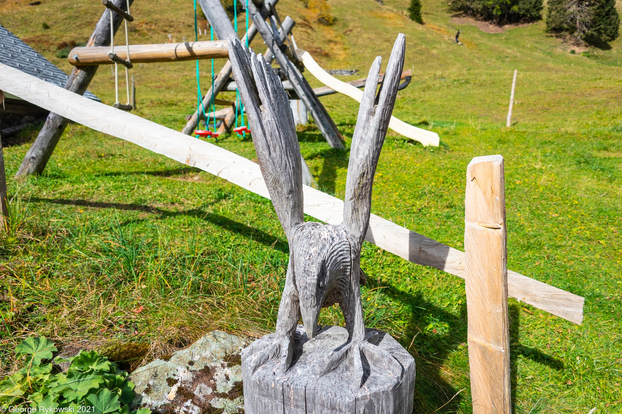 SwissVacation2019-2-1182.jpg