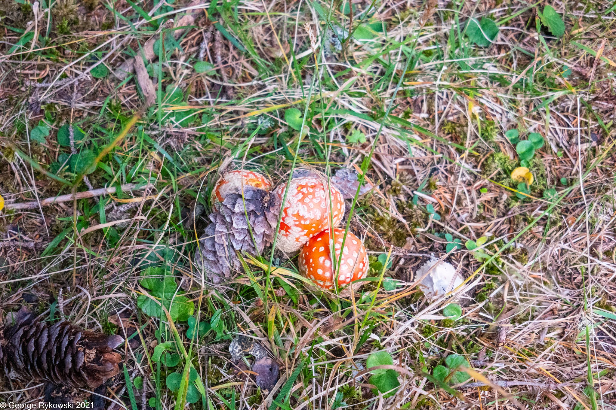 SwissVacation2019-2-1196.jpg