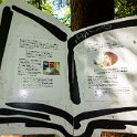 SwissVacation2019-0782.jpg