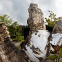 SwissVacation2019-0786.jpg