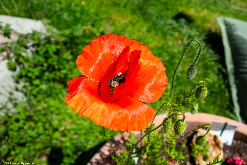 SwissVacation2019-0822