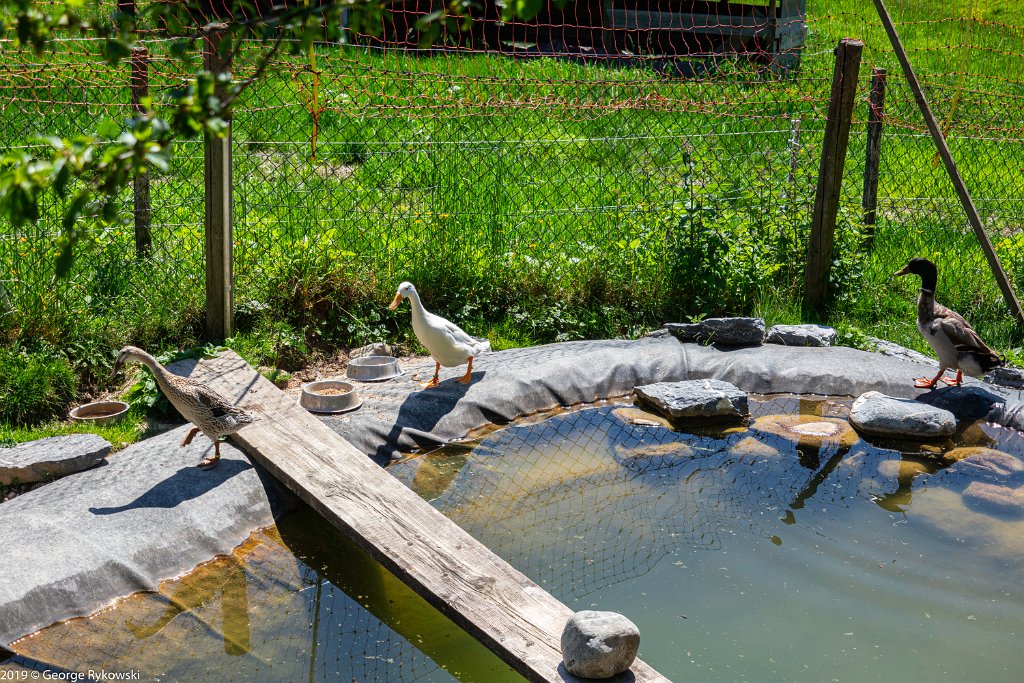 SwissVacation2019-0829