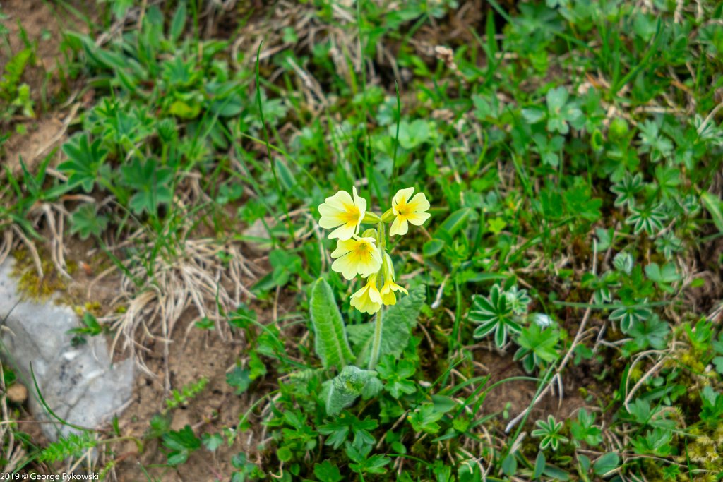 SwissVacation2019-0853