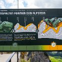 SwissVacation2019-0876.jpg