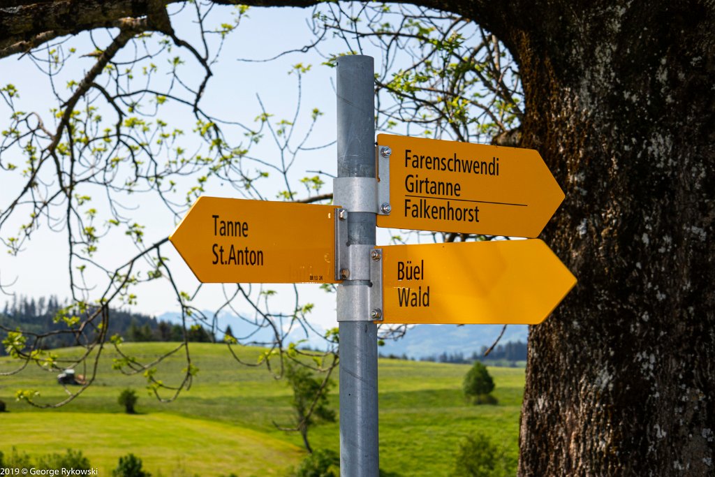 SwissVacation2019-0880