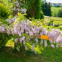 SwissVacation2019-0885.jpg