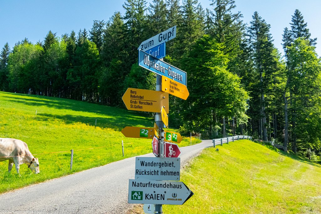 SwissVacation2019-0898