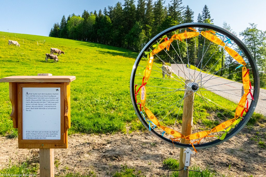 SwissVacation2019-0899