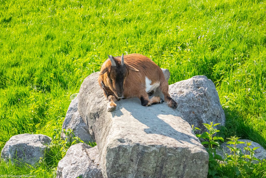 SwissVacation2019-0903