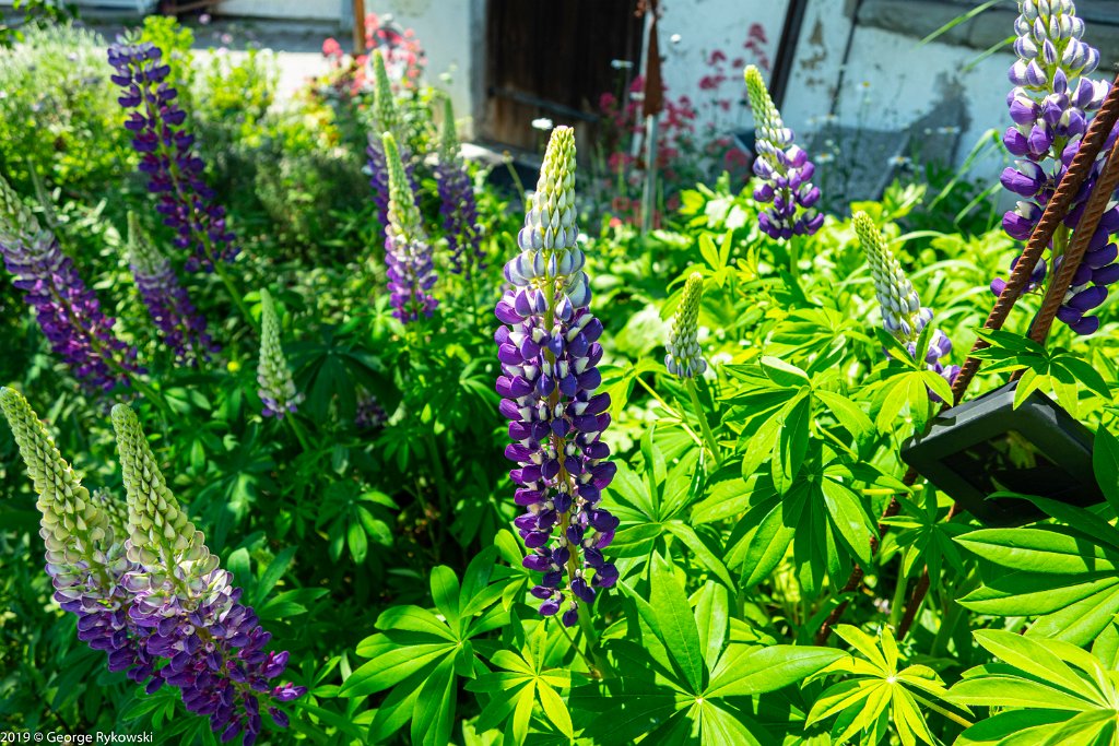 SwissVacation2019-0921