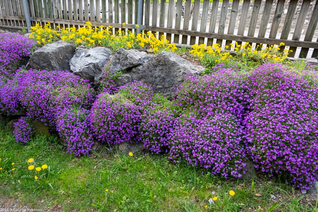 SwissVacation2019-0414