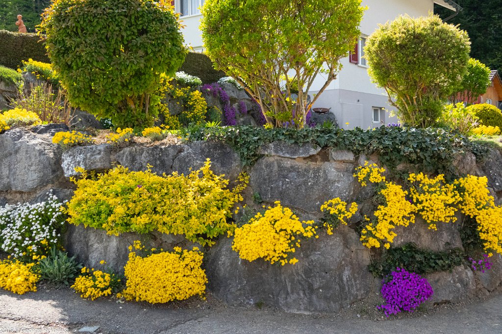 SwissVacation2019-0417