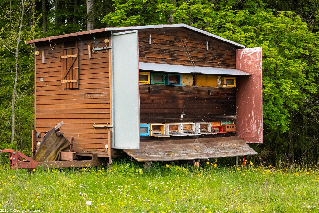 SwissVacation2019-0420
