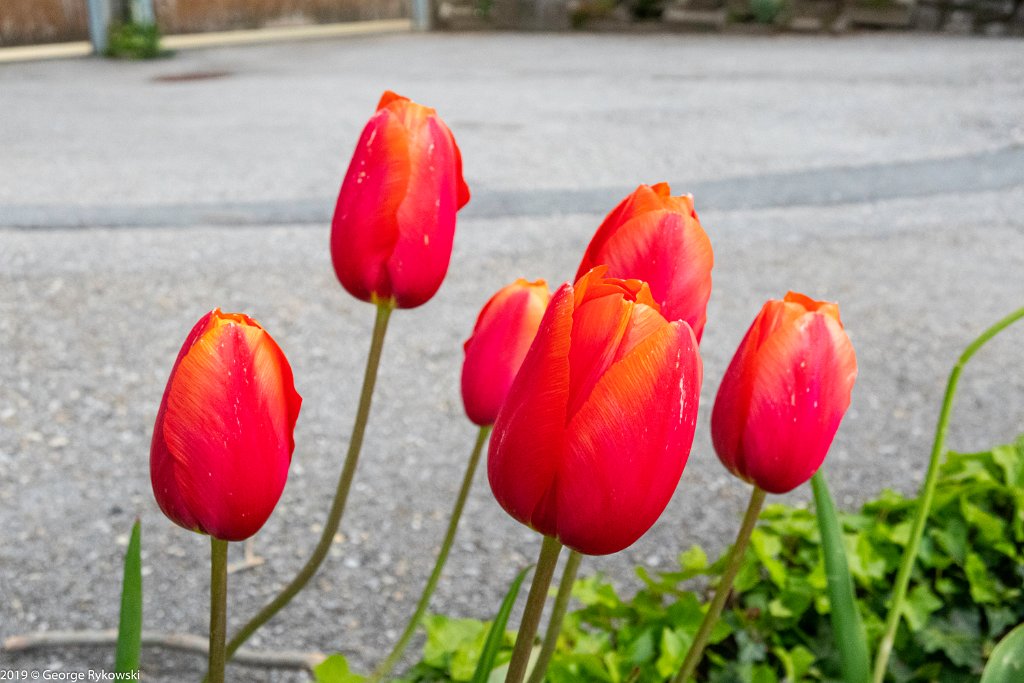 SwissVacation2019-0424