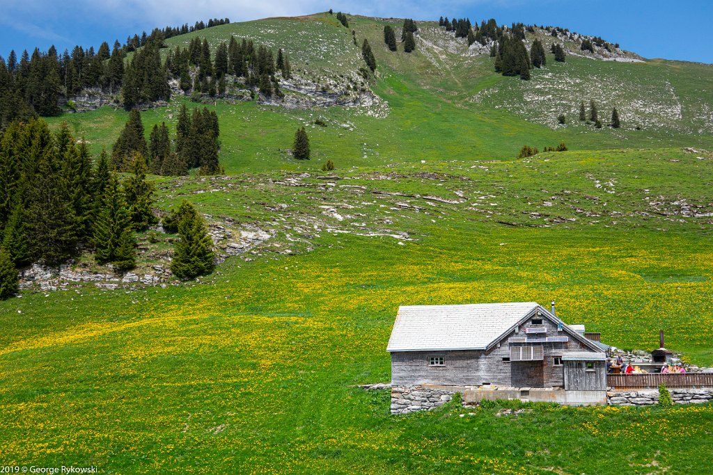 SwissVacation2019-0980