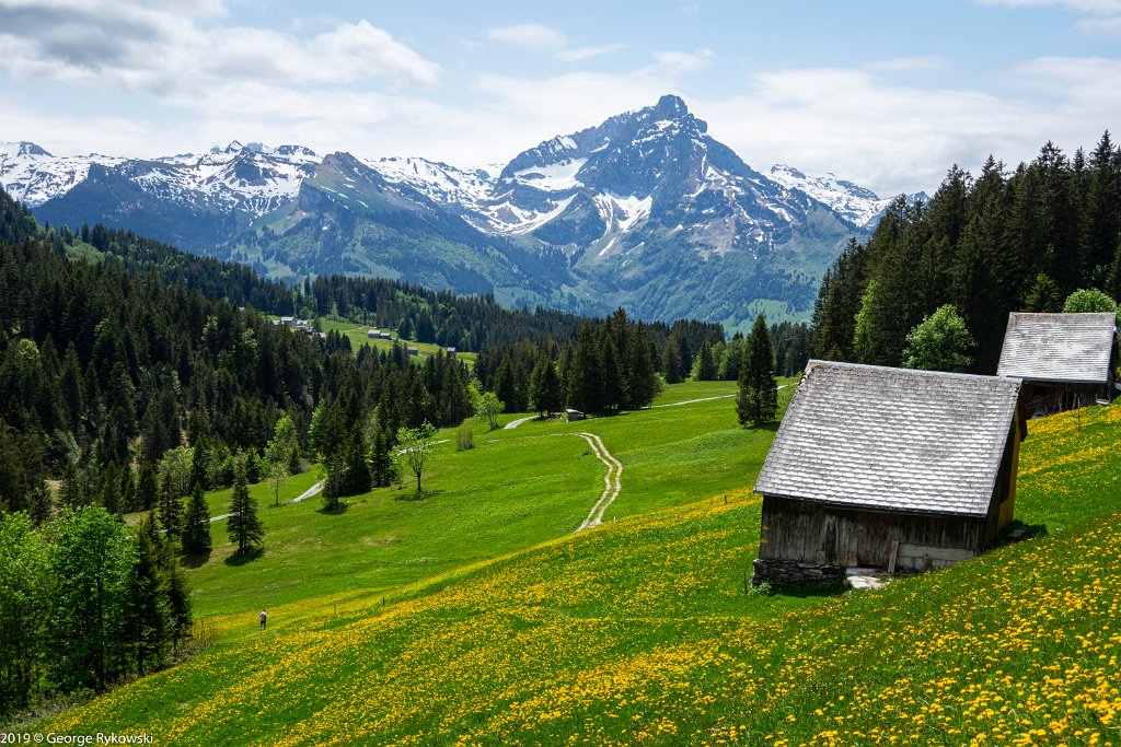 SwissVacation2019-0982