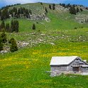 SwissVacation2019-0980.jpg