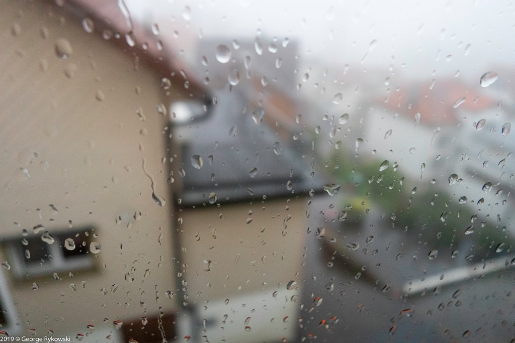SwissVacation2019-0466