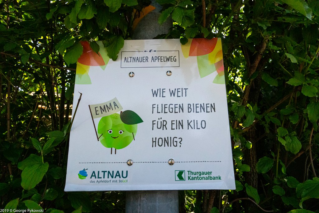 SwissVacation2019-0533
