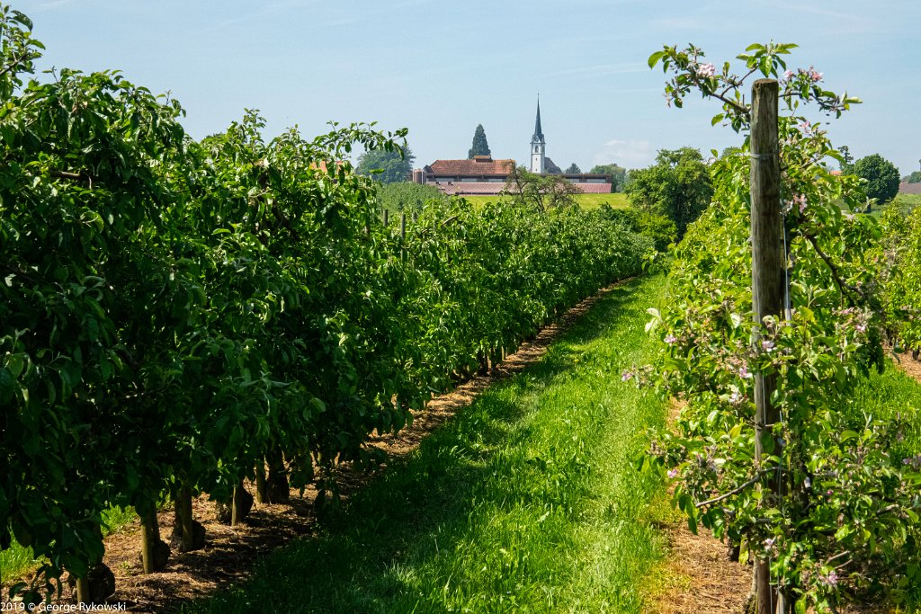 SwissVacation2019-0534