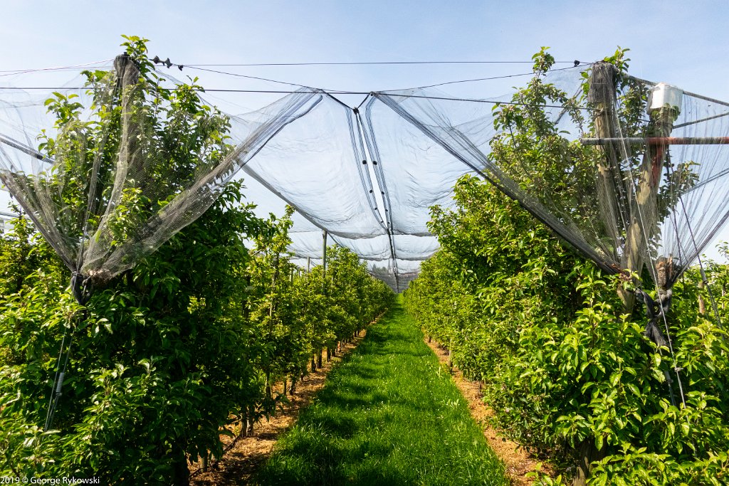 SwissVacation2019-0537