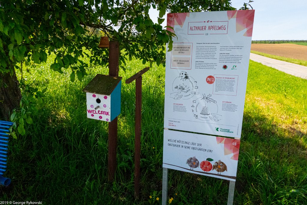 SwissVacation2019-0548