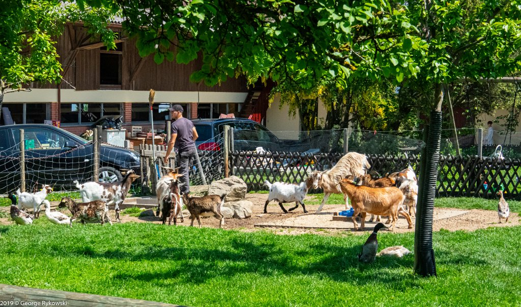 SwissVacation2019-0555