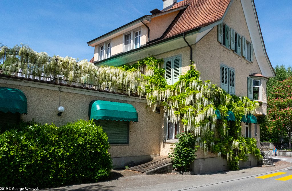 SwissVacation2019-0557