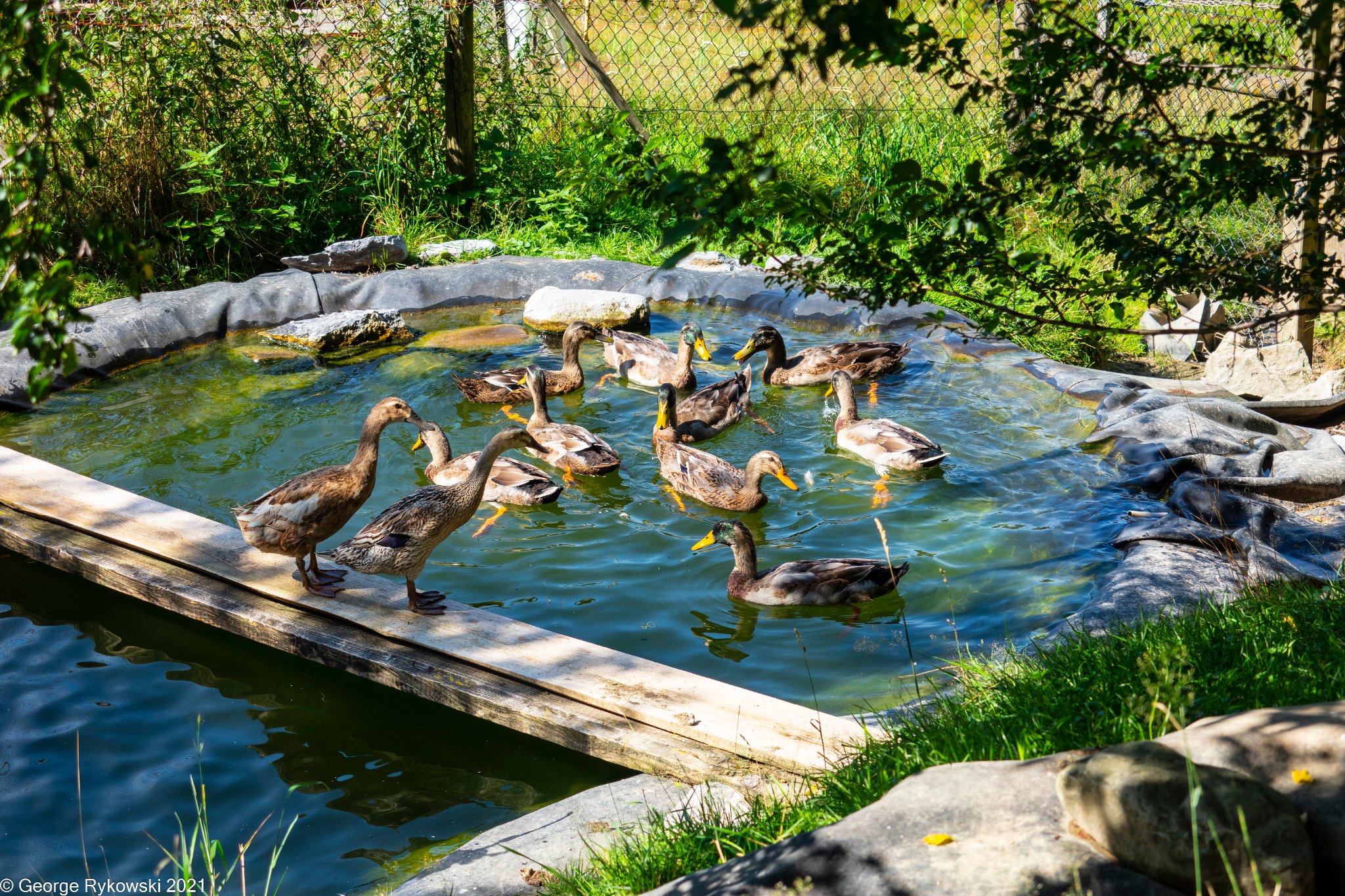 SwissVacation2021-1565.jpg