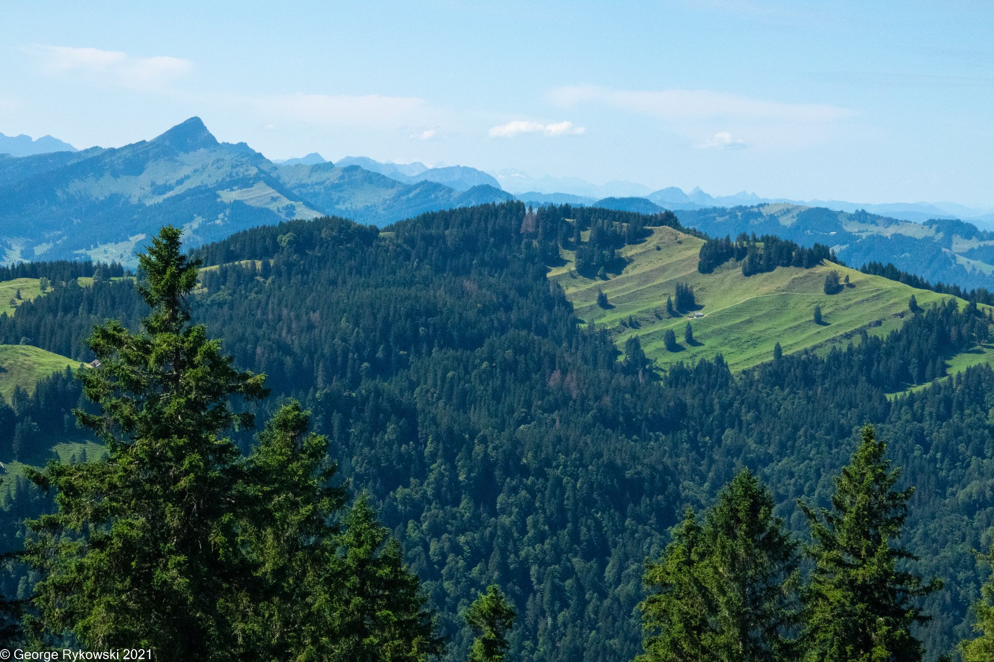 SwissVacation2021-1599.jpg