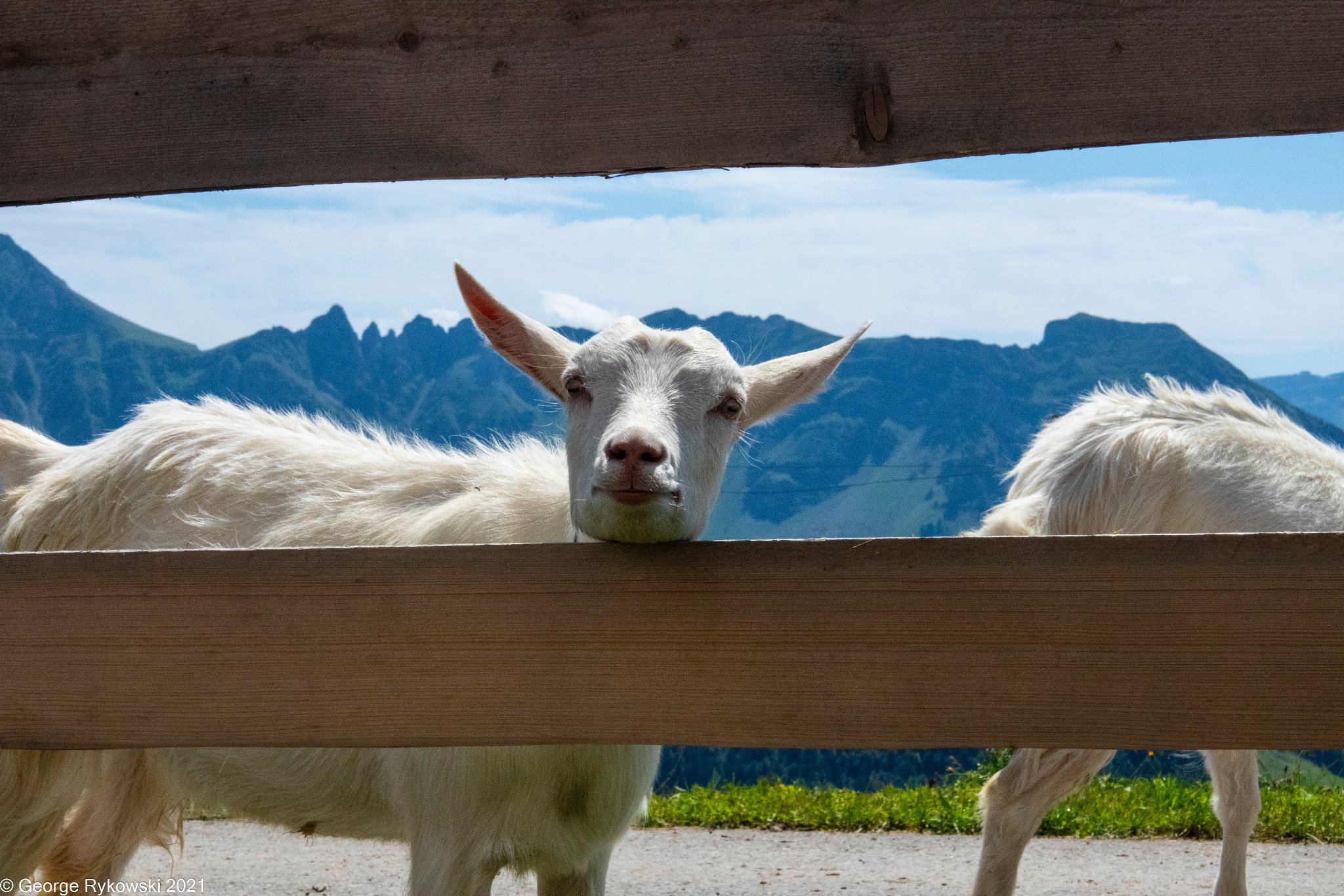 SwissVacation2021-1608.jpg