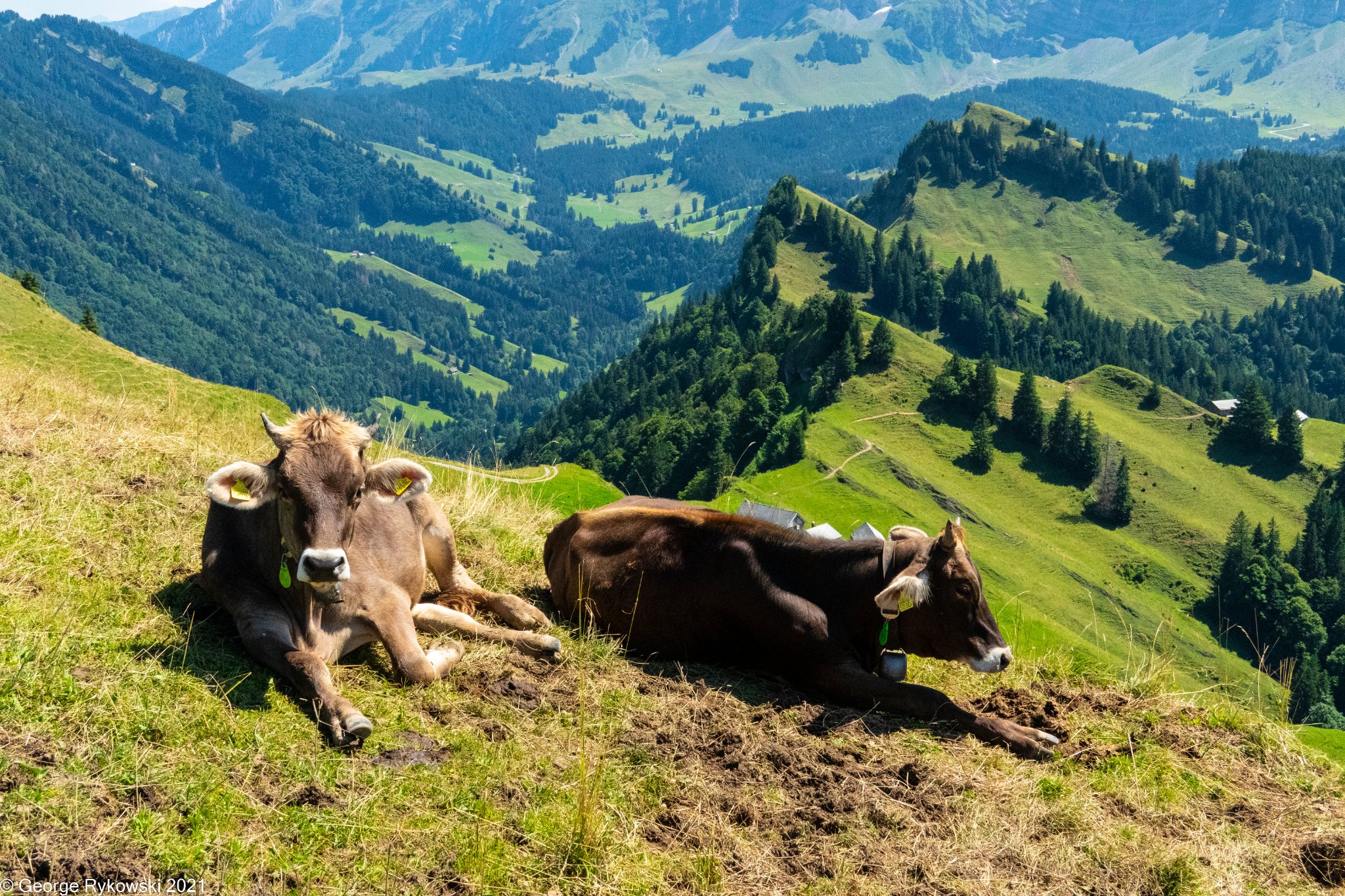 SwissVacation2021-1611.jpg